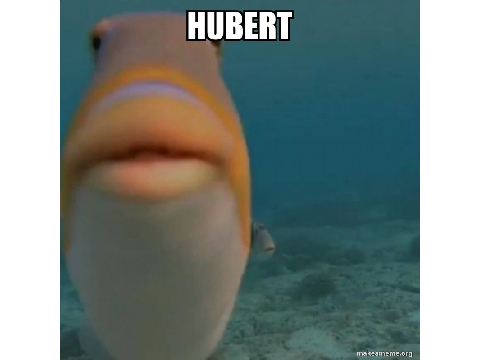 HUBERT
