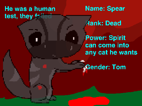 Spear INFORMATION