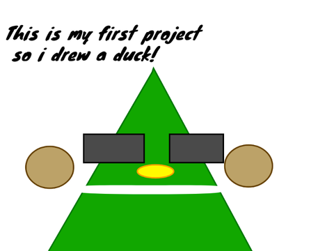 My First Duck Project!
