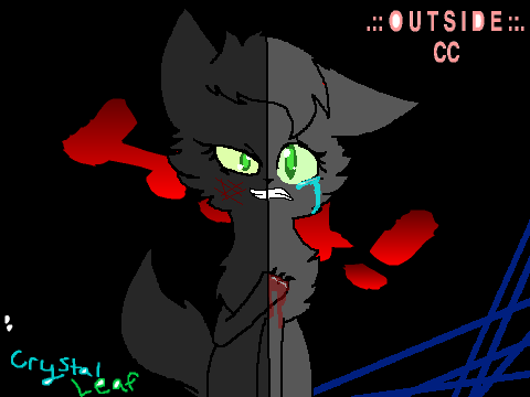 .:: O U T S I D E ::. CC entry