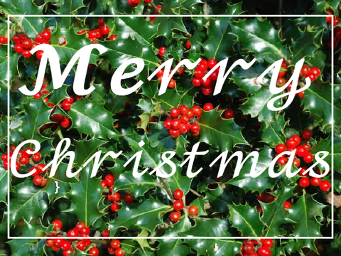 Merry Christmas!