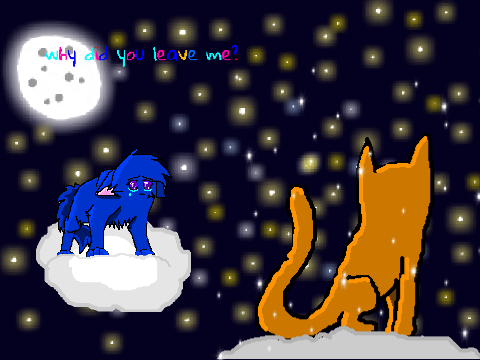 // Why do you change CCE \ 