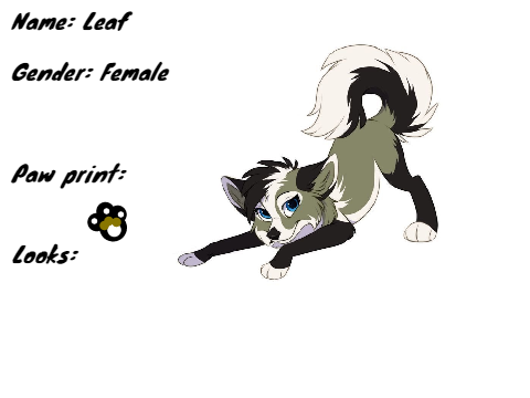 The main wolf bio remix