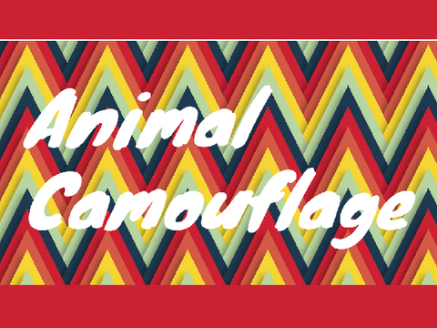 Animal Camouflage