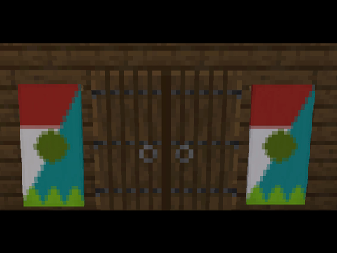The flag.