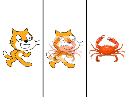 Why does everything keep turning into crabs?