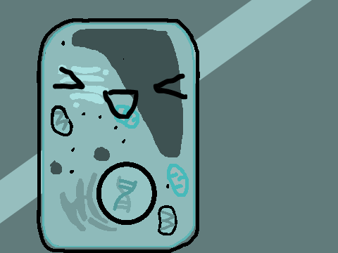 * Le Eukaryotic Plant Cell! *
