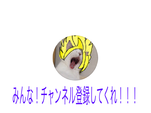 チャンネル登録よろしく！