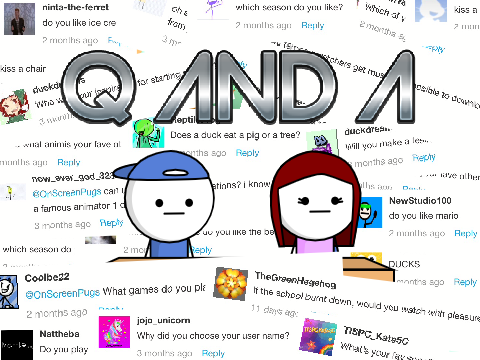 Q and A answers                                                                       #animations