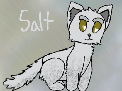 Salt reference, MITTC