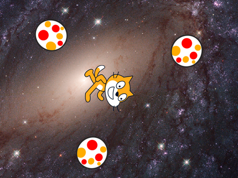 cat in galaxy 