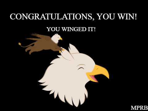 Wing Things