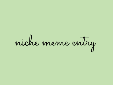 ✦°+ | niche meme entry