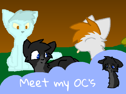 meet my OC's