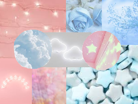 Trans are valid