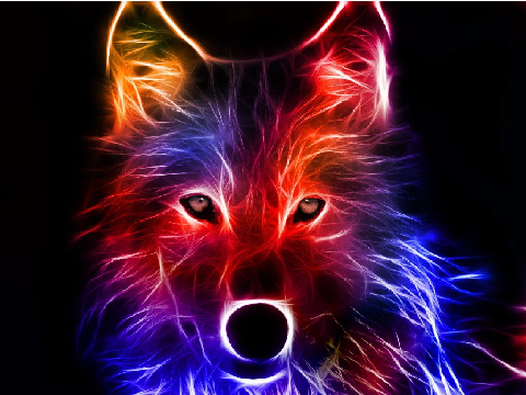 Calming and Relaxing Wolf