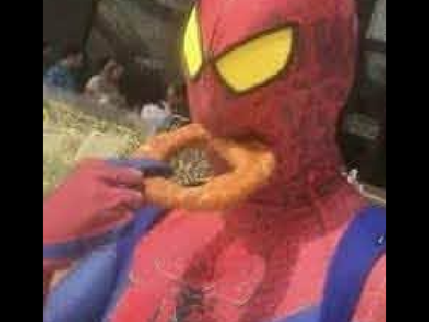 More cursed images