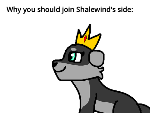 Why you should join Shalewind’s side