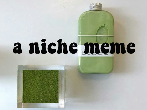 ☂ | niche meme for @wildflxwers