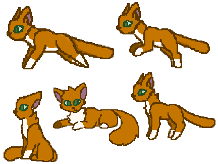 Gingerpaw/ Gingerstar (My OC ref)