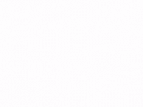 My FIRST (really small) animation!