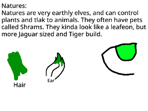 Forgotten Elf Info
