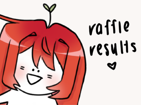 || Christmas Raffle Results ||