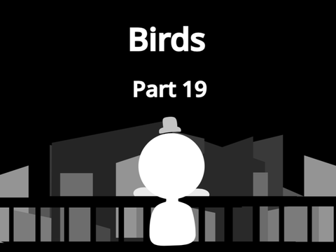 Birds - Part 19