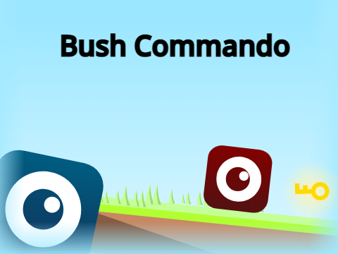 Bush Commando|A platformer