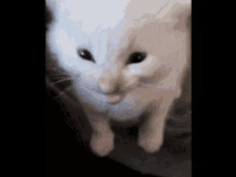 Hi Herbert