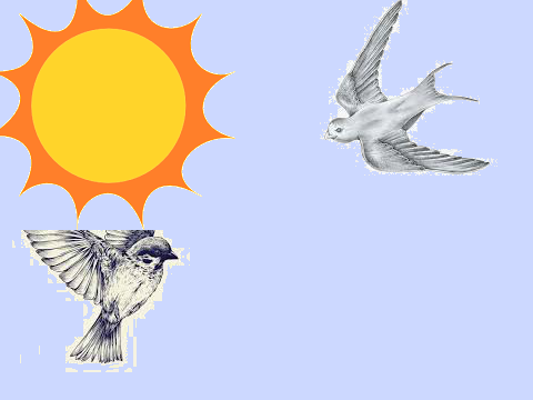  I must not chase the boys! (bird version)