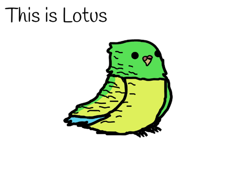 Meet Lotus