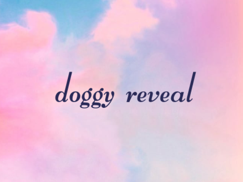 doggy reveal