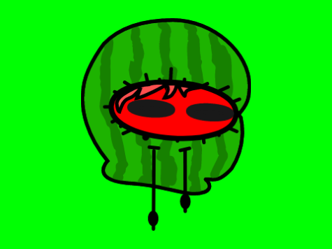 watermallon