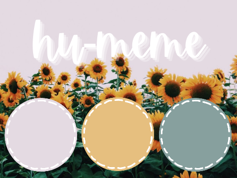 ☼ hu-meme ˎˊ-