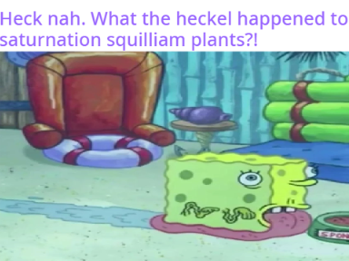 Untitled-Sponge.