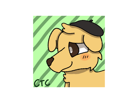 icon for @DressyTBJ45