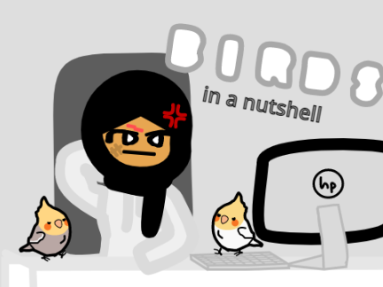 Birds in a nutshell.