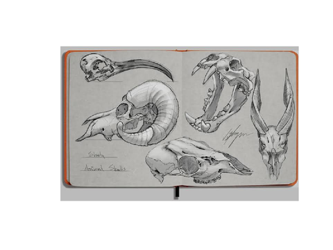 Animal study Reference