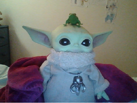 Look what I got