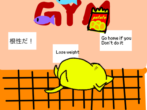 ネコの腹筋