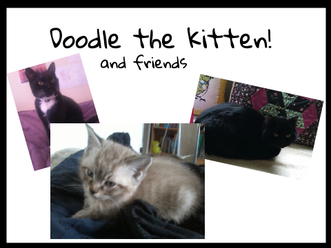 Doodle the Kitten!