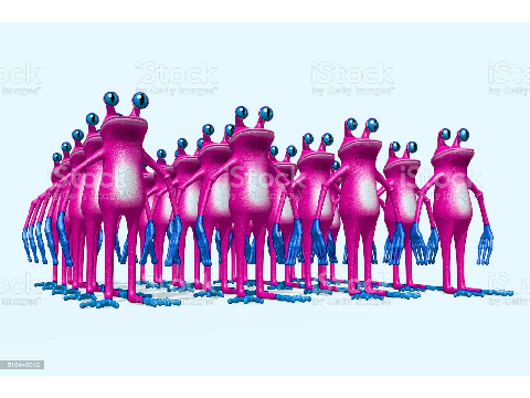 JOIN THE FROG ARMY!