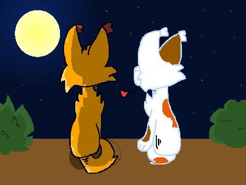 Can't Help Falling in Love~ CCE