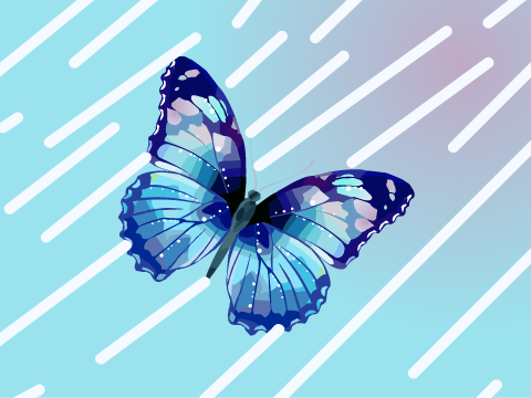 ,`~ Butterfly Blockshade ~`,