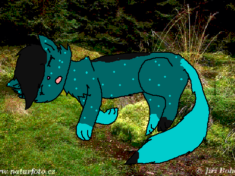 Sparklepaw from Swampclan