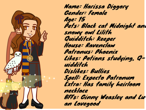 My Harry Potter Character