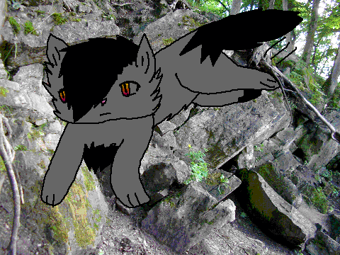 Shadowtail from Pebbleclan