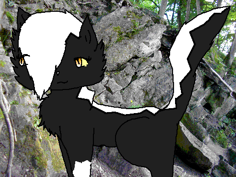 Skunkpaw from Pebbleclan