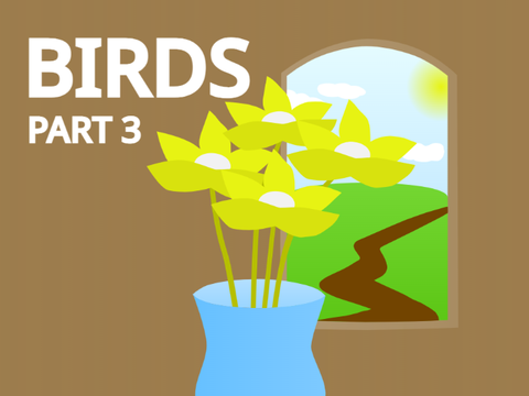 Birds - Part 3